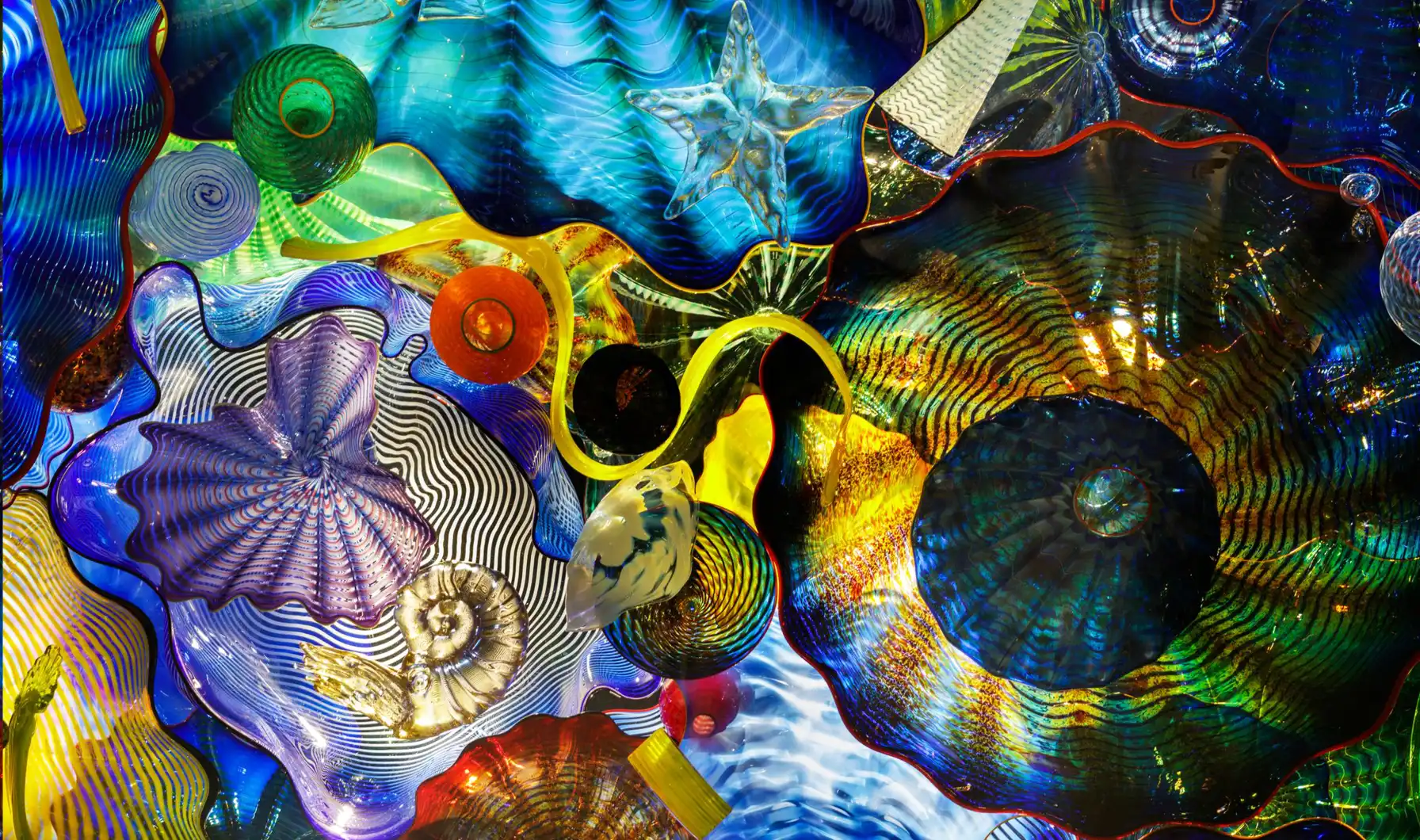 Plan Your Visit Hero | Chihuly Ceiling (detail)
