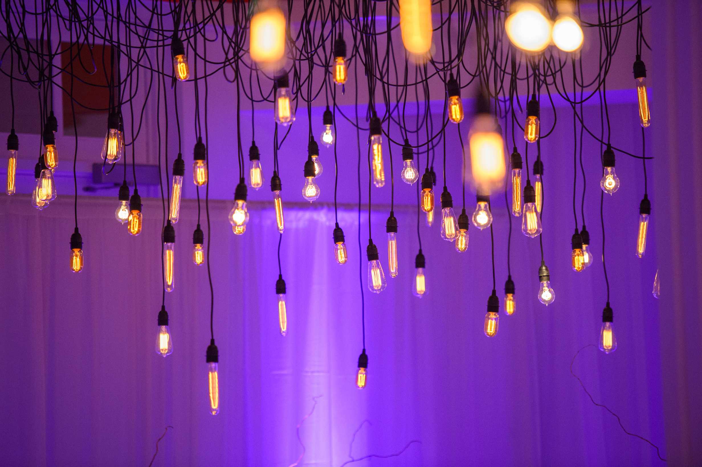 Gala Norton Museum of Art